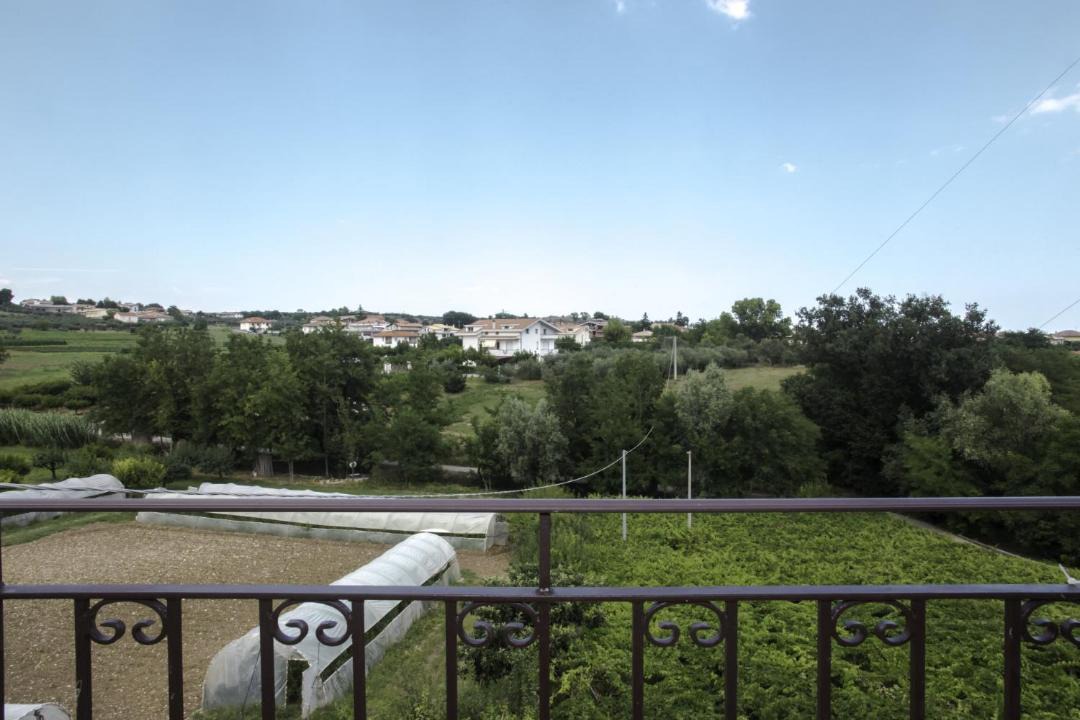 Photo of Others in Collecorvino