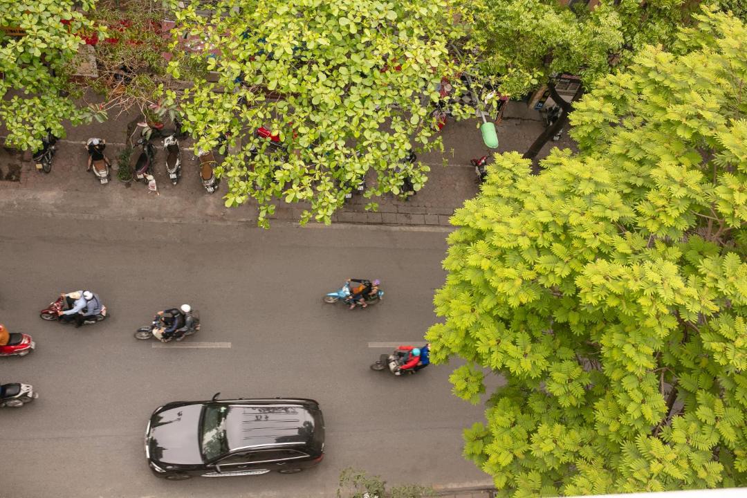 Photo of Others in Hanoi