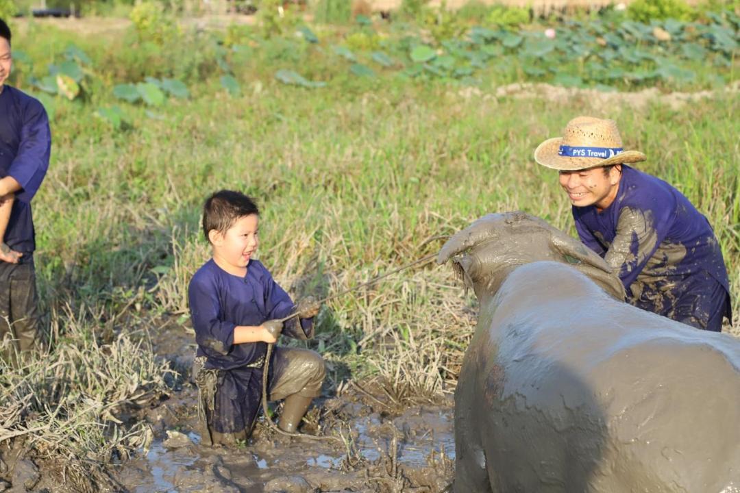 Photo of Others in Tam Nong