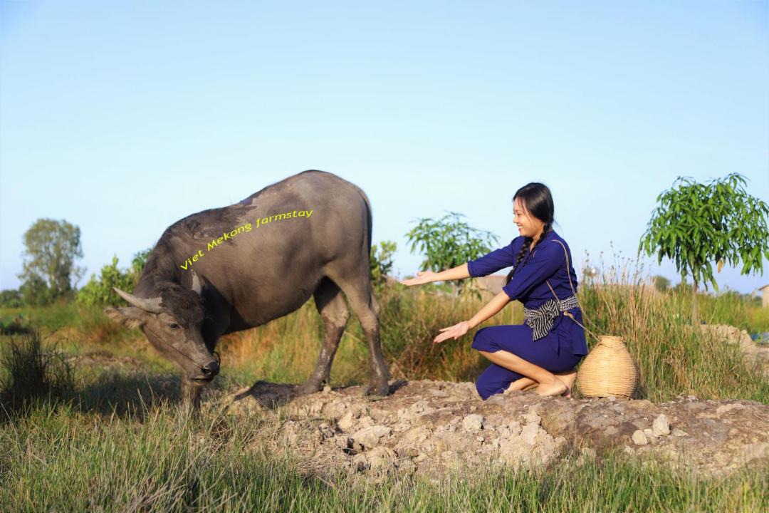 Photo of Others in Tam Nong