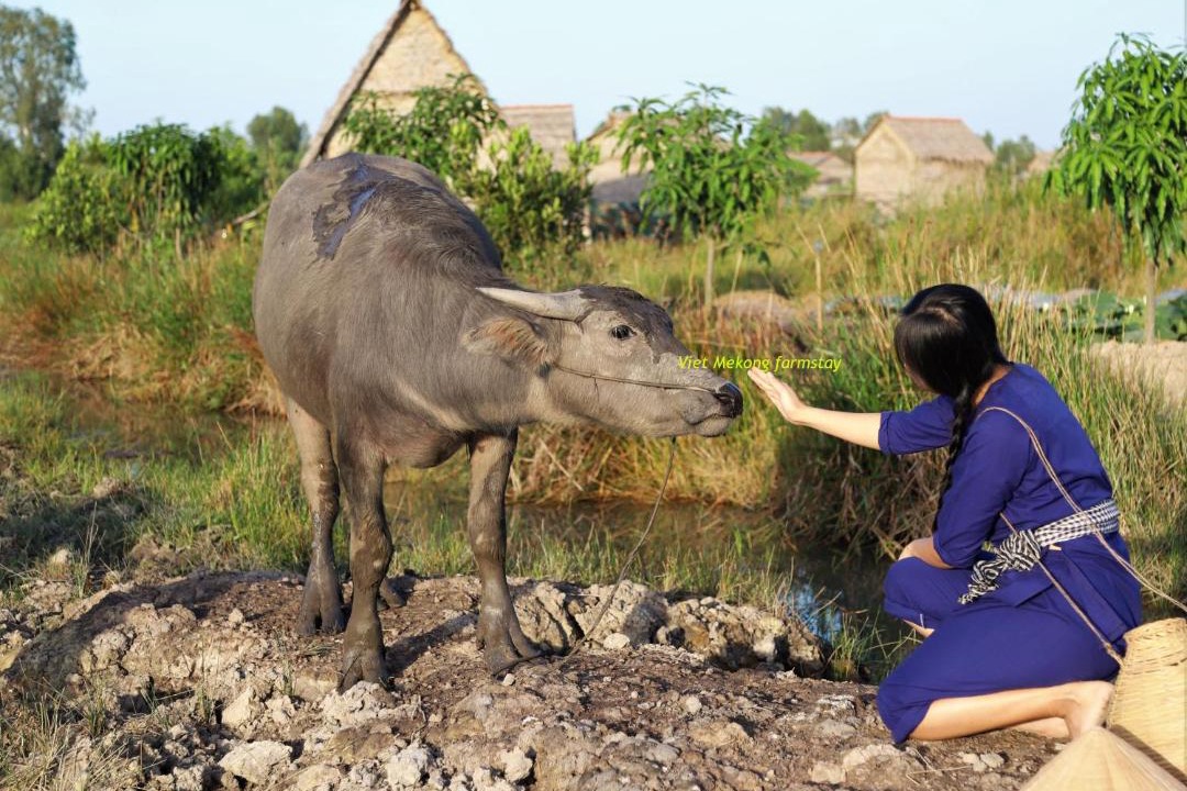 Photo of Others in Tam Nong