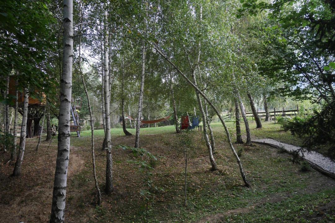 Photo of Others in Moieciu