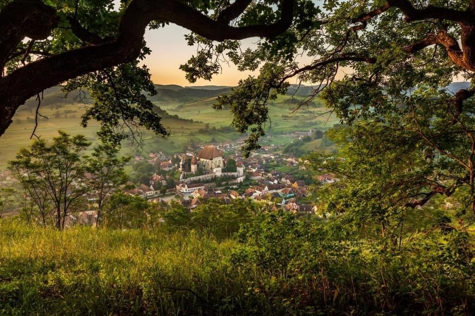 Photo of Others in Biertan