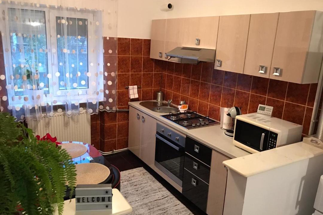Photo of Kitchen in Emanoil Gojdu