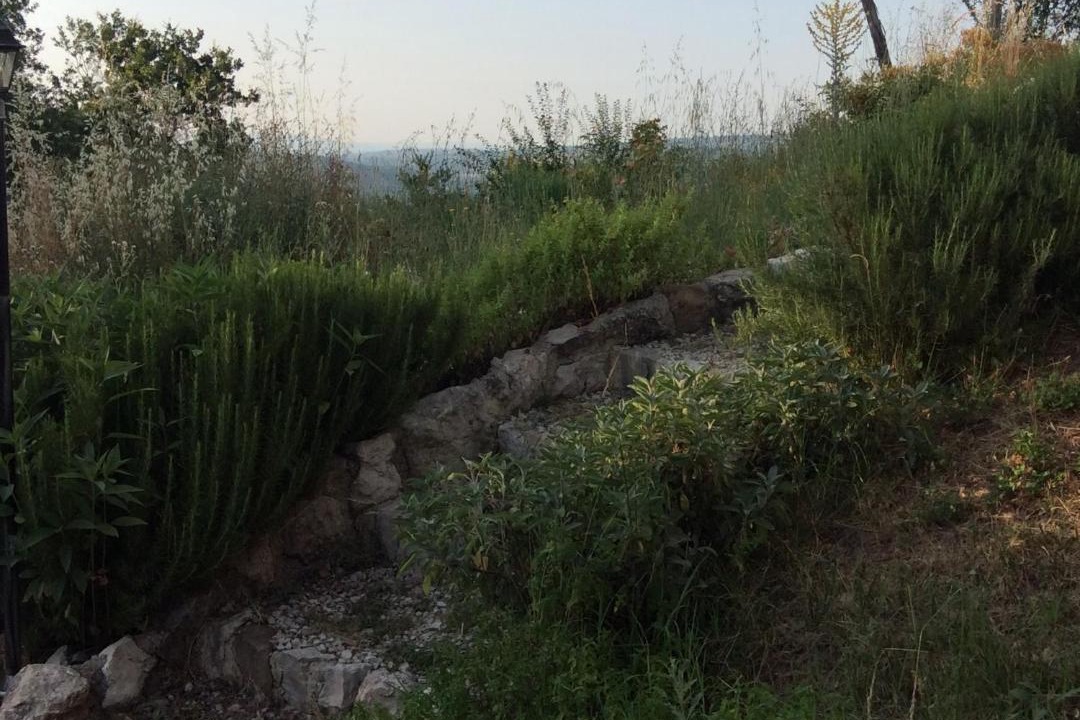 Photo of Others in Castelvetere sul Calore