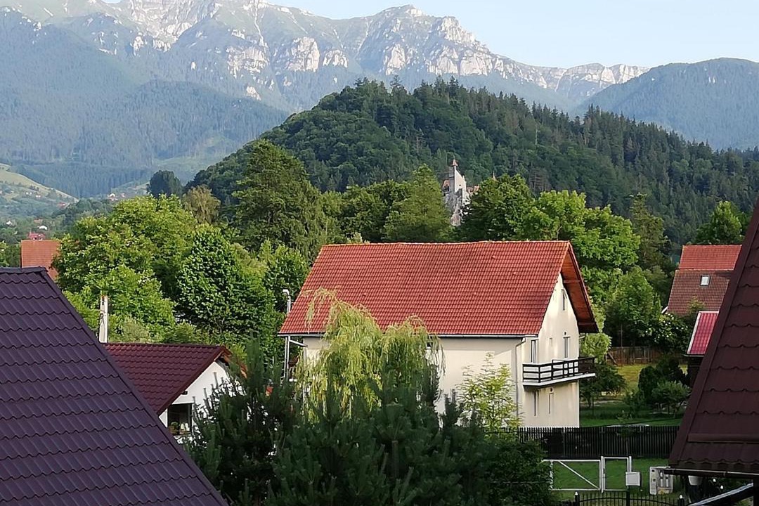 Photo of Buildings in Bran