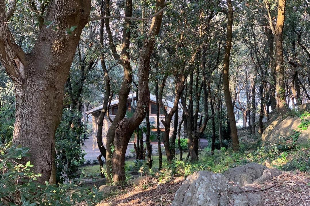 Photo of Others in Forio