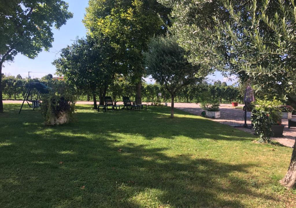 Photo of Others in Ponte di Piave