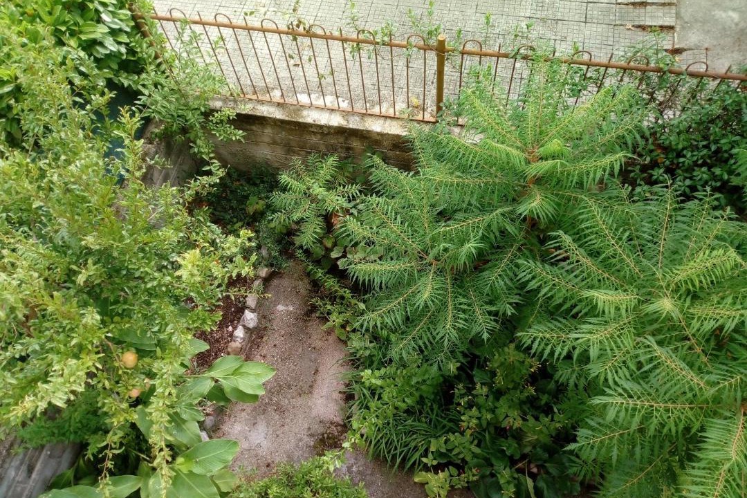 Photo of Others in Isoletta
