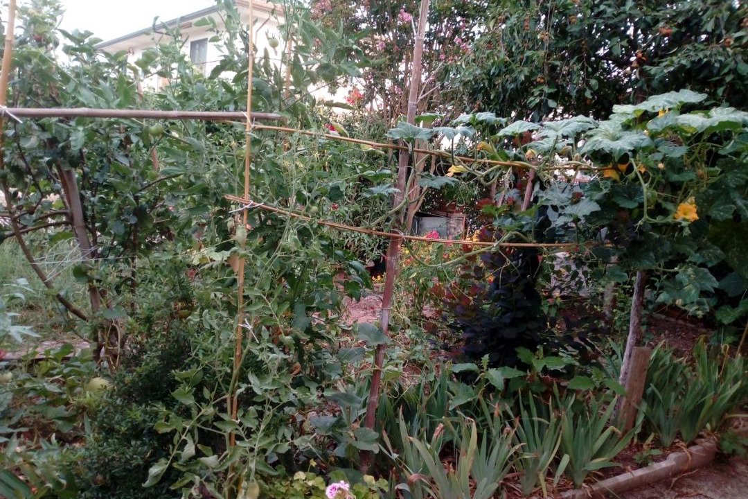 Photo of Outdoor in Isoletta
