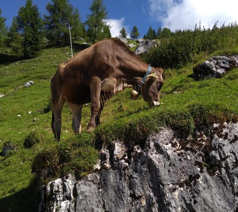 Photo of Others in Feltre