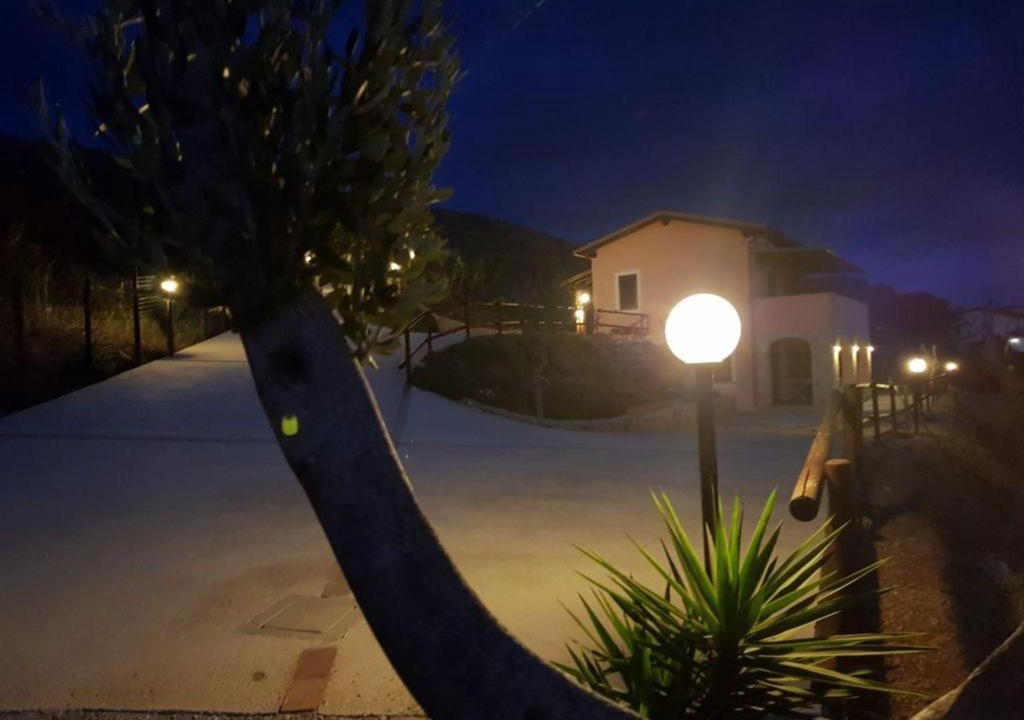Photo of Others in Marina Di Camerota