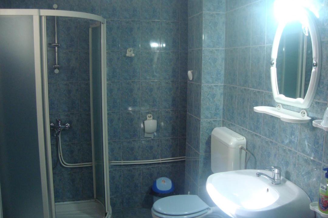 Photo of Bathroom in Oestii Paminteni