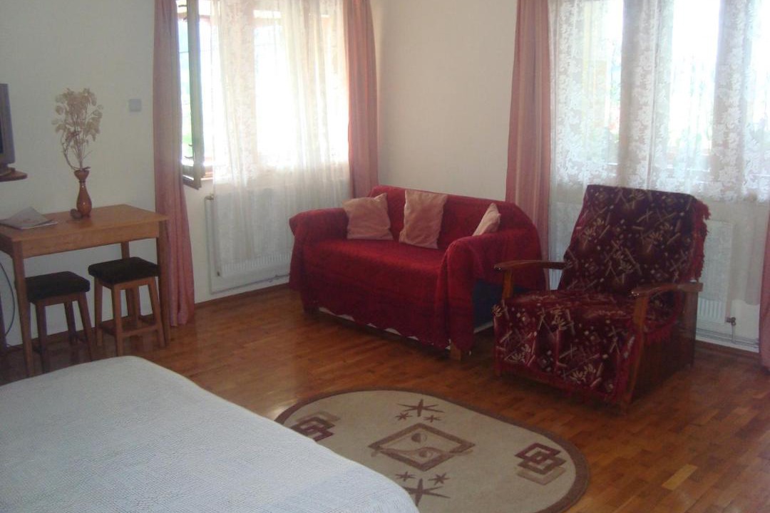 Photo of Livingroom in Oestii Paminteni