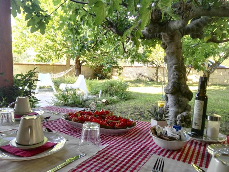 Photo of Patio Balcony in Casalbordino