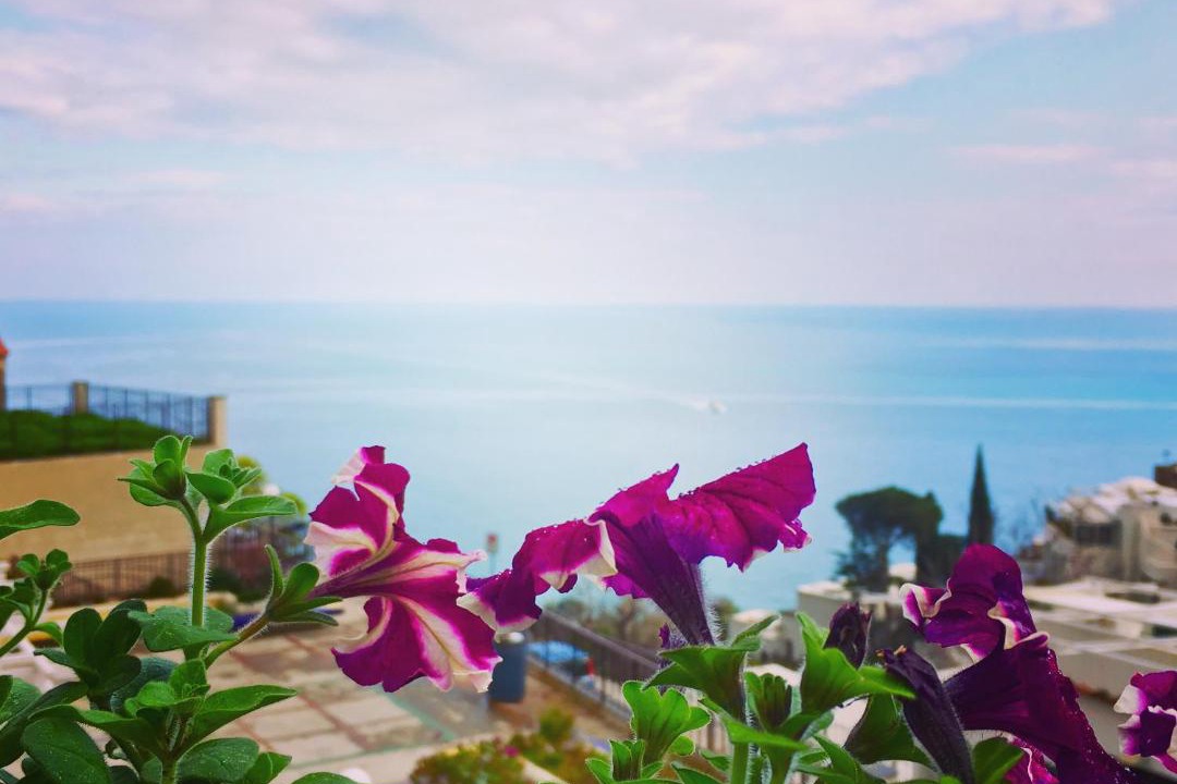 Photo of Others in Positano