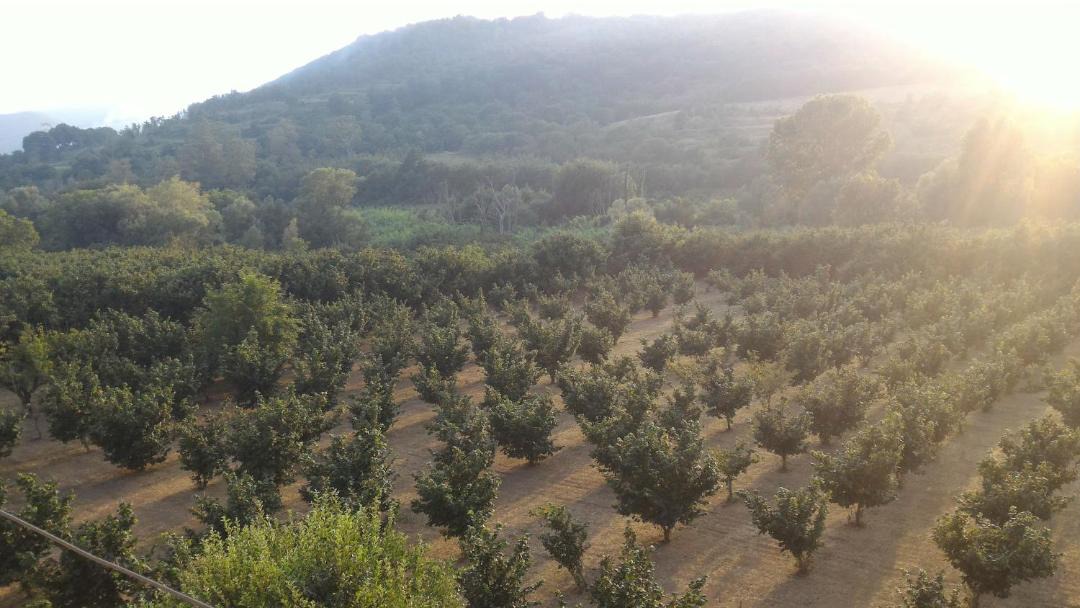 Photo of Outdoor in Giffoni sei Casali