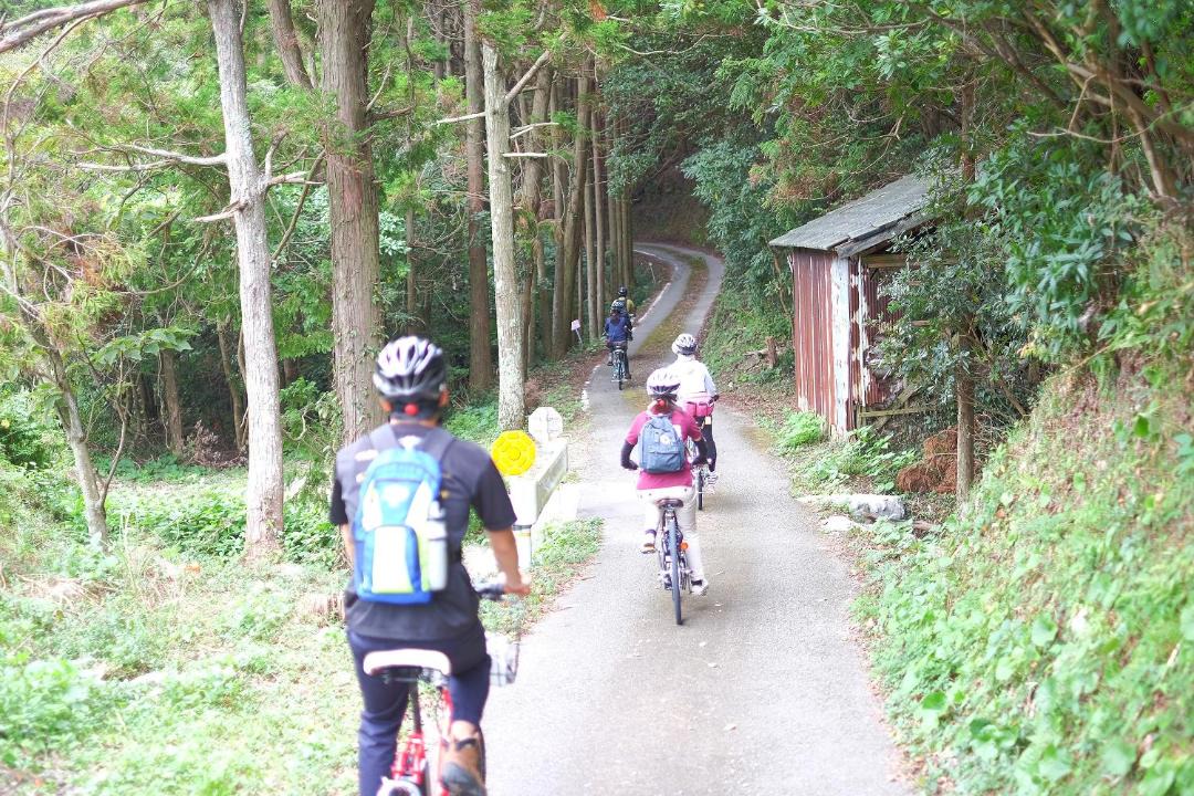 Photo of Others in Susami