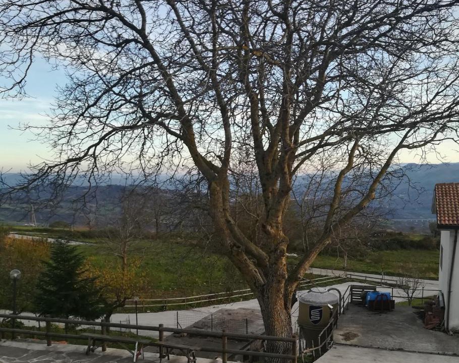 Photo of Others in Capracotta