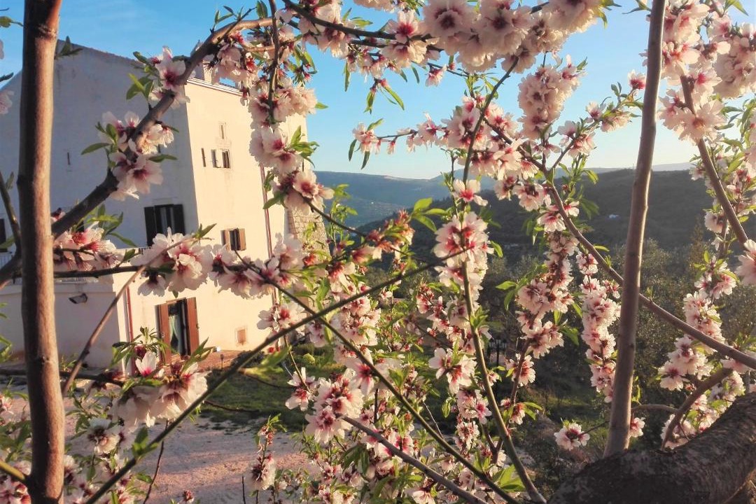Photo of Others in Carpino
