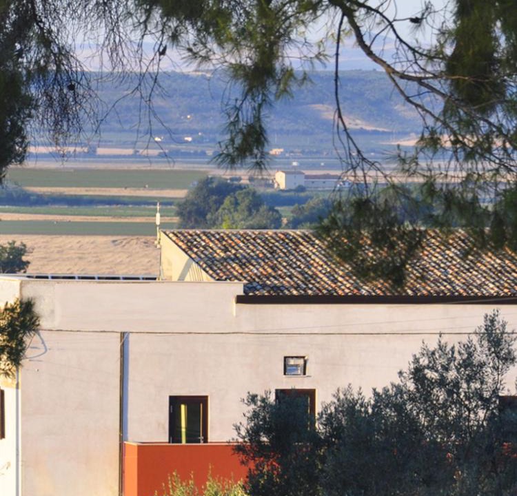Photo of Others in Cerignola