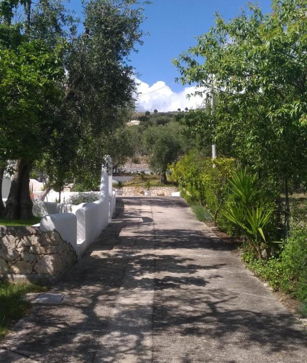 Photo of Others in Mattinata