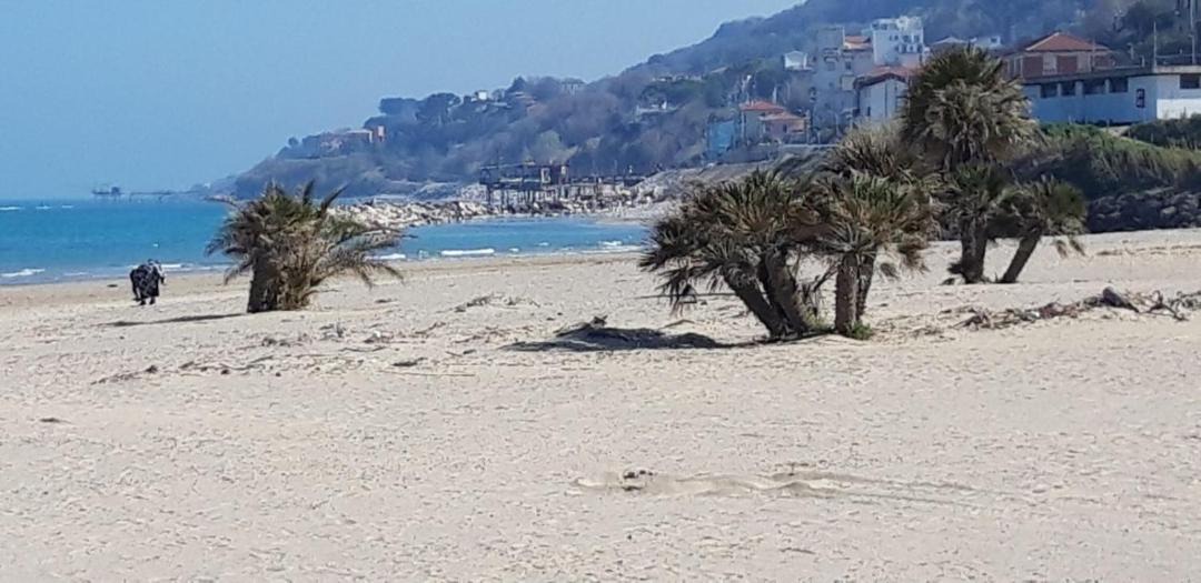 Photo of Others in Marina di San Vito