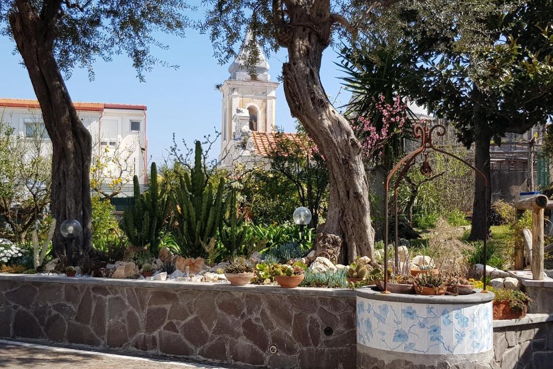 Photo of Others in Sorrento