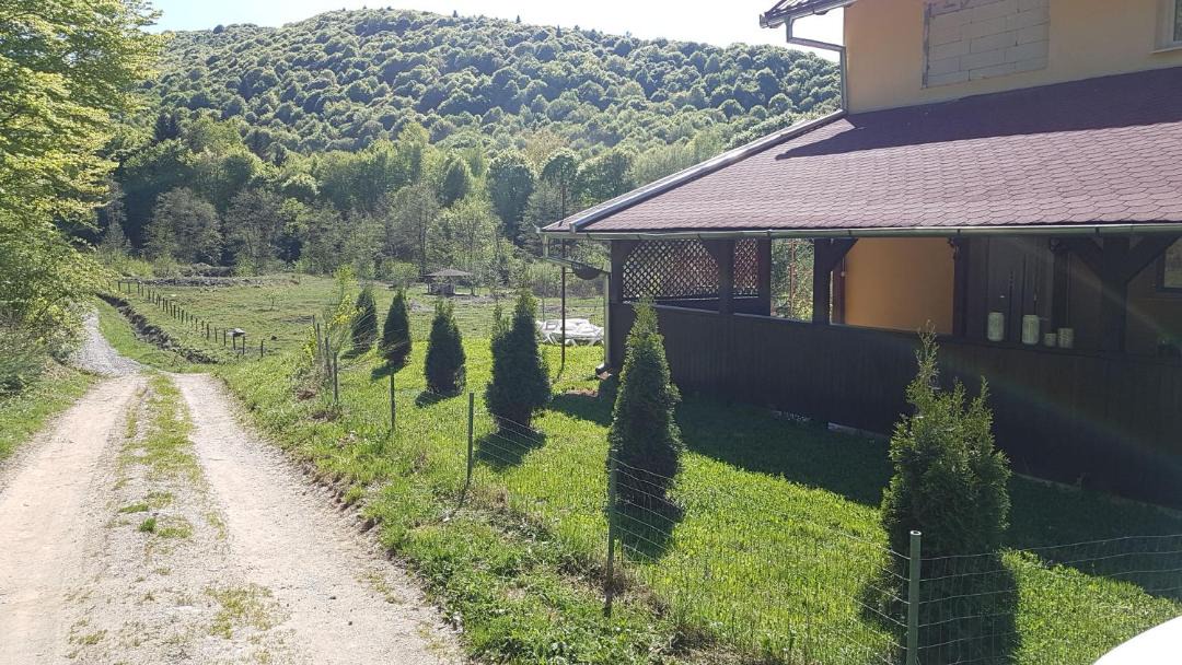 Photo of Others in Cartisoara