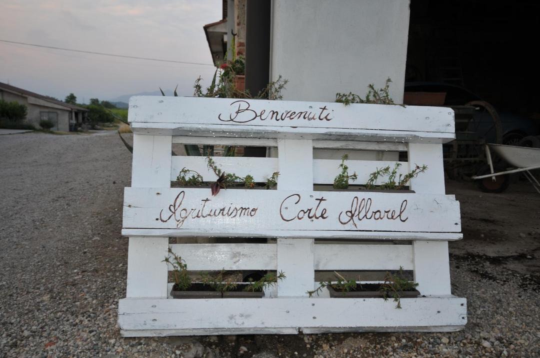 Photo of Others in Castelnuovo del Garda