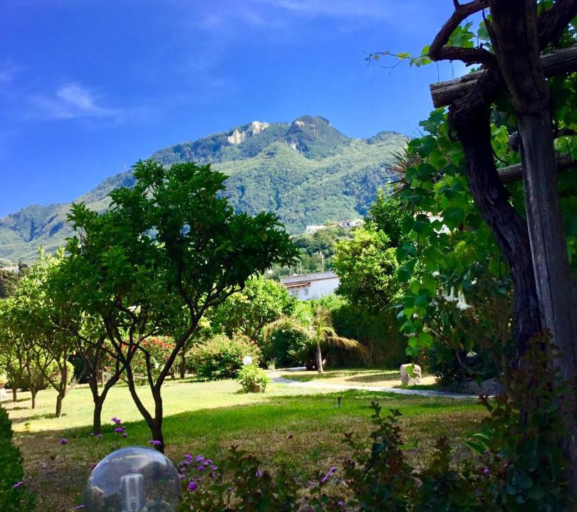 Photo of Outdoor in Lacco Ameno
