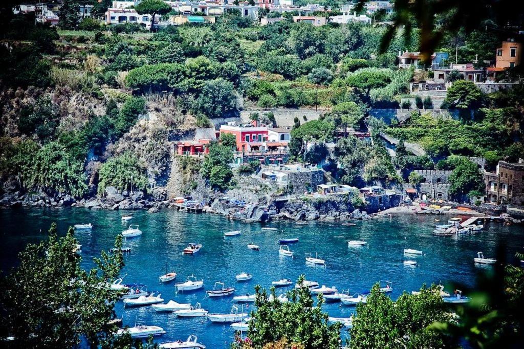 Photo of Others in Ischia Ponte