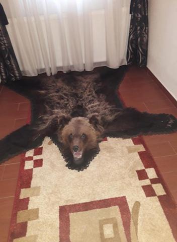 Photo of Others in Telciu