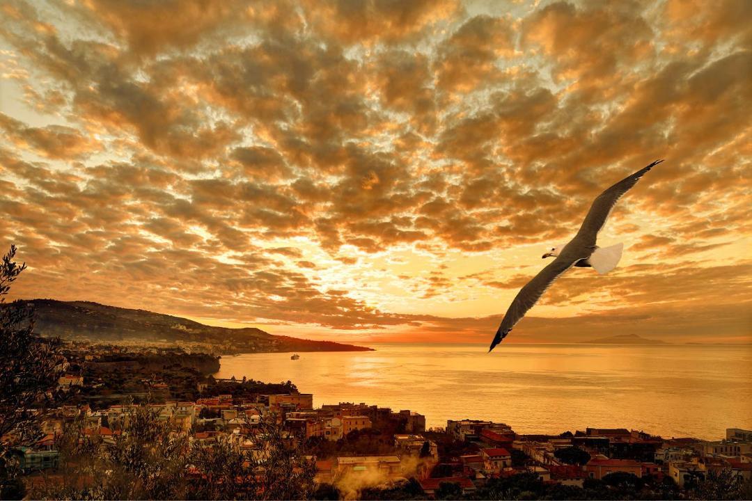 Photo of Others in Sorrento