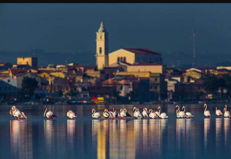 Photo of Others in Lesina Marina