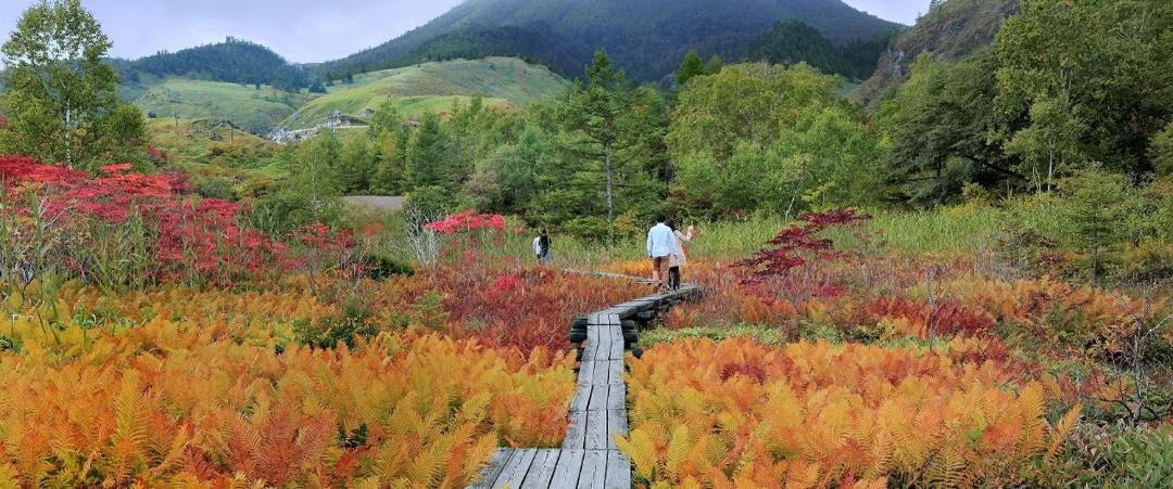 Photo of Others in Kusatsu Onsen