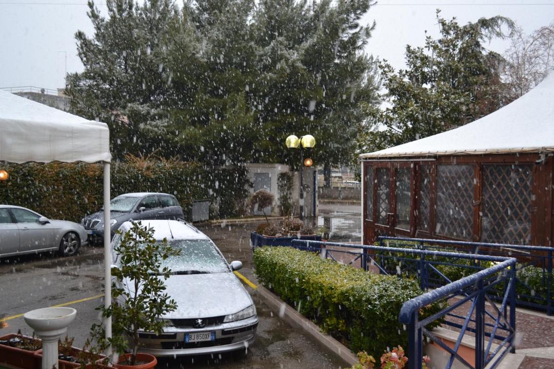 Photo of Others in Foggia