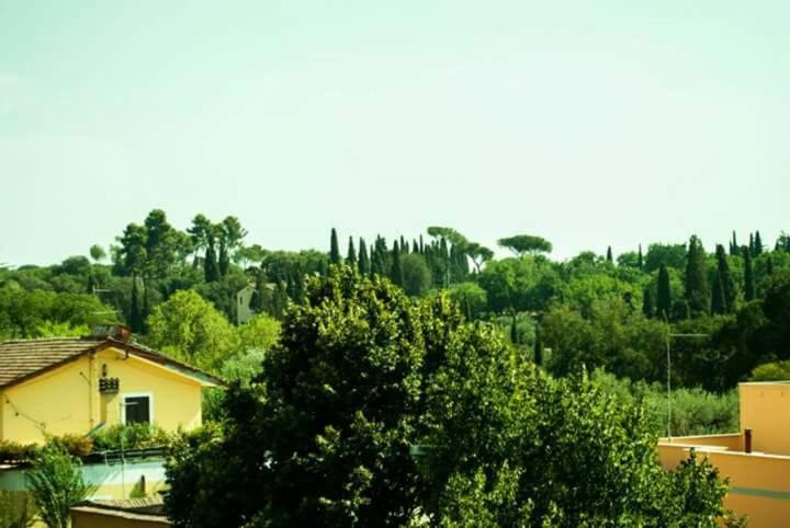Photo of Others in Villa Adriana