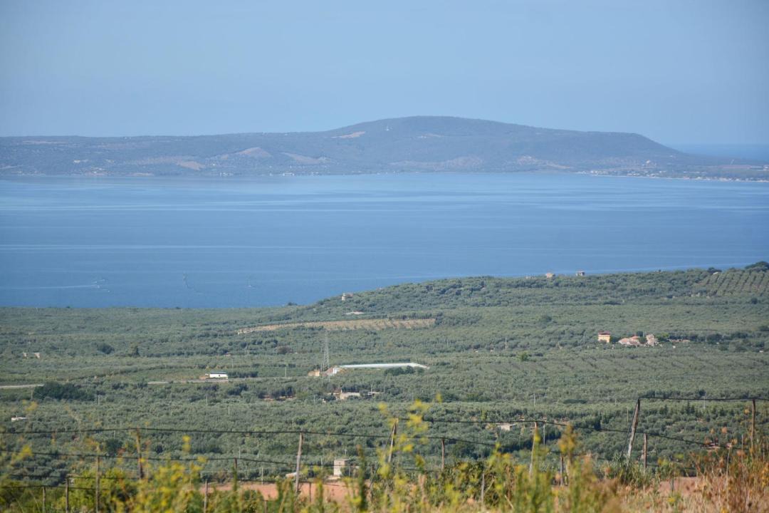 Photo of Others in Carpino