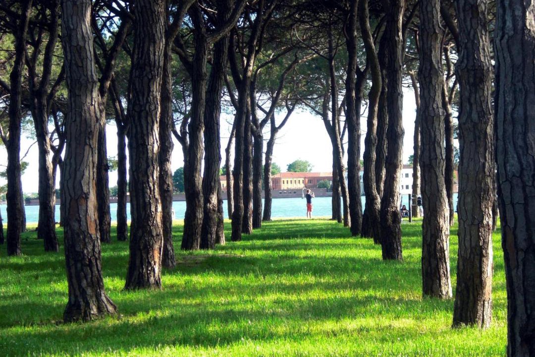 Photo of Buildings in Castello