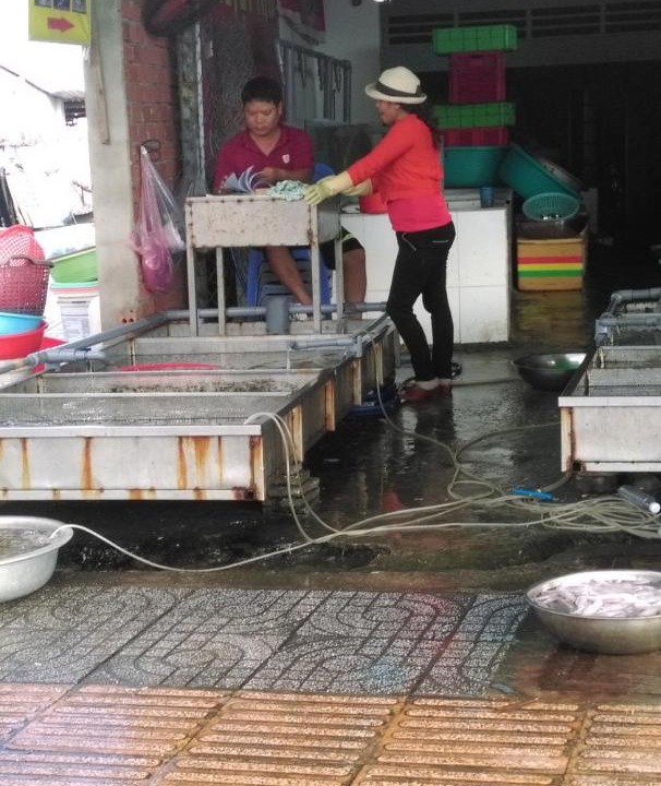 Photo of Others in Vung Tau