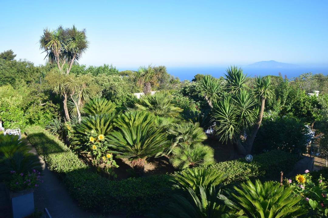 Photo of Others in Anacapri