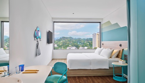 Room, 1 King Bed