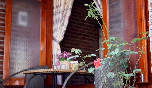 Standard Bungalow, Patio