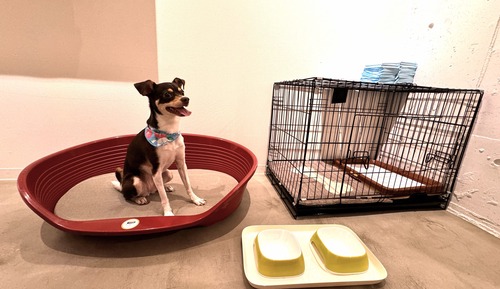 Triple Room, Pet Friendly, Non Smoking