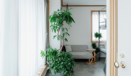 Botanical Bunk Twin, Non Smoking