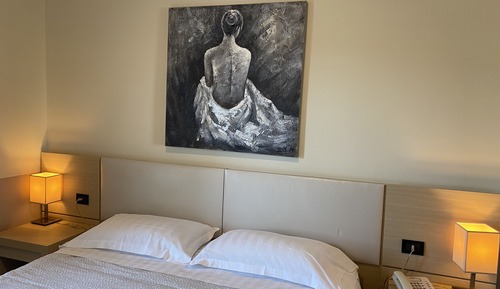 Deluxe Double or Twin Room