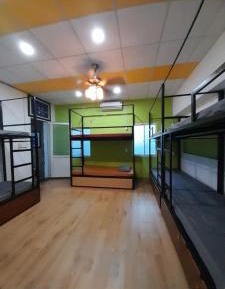 Bunk Bed in Mixed Dormitory Room