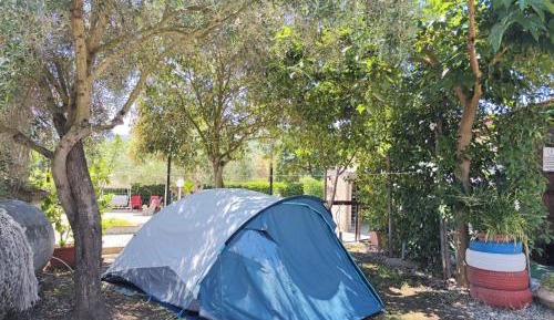 Tent