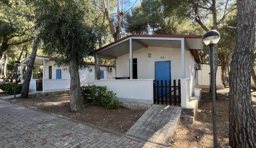 Bungalow (5 Adults)